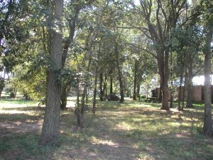 East Texas Waterfront Lot