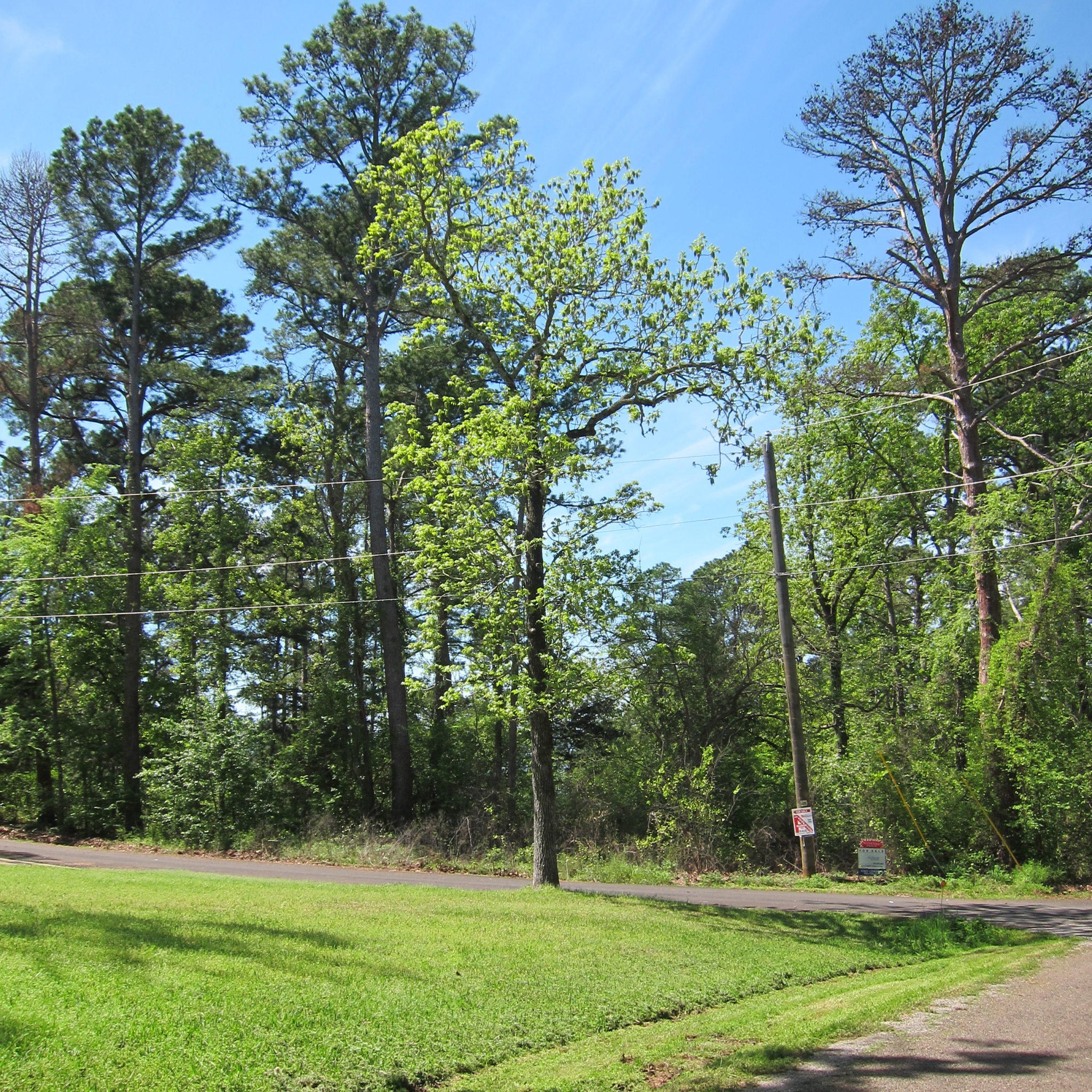 Lake Palestine Lake View Lots