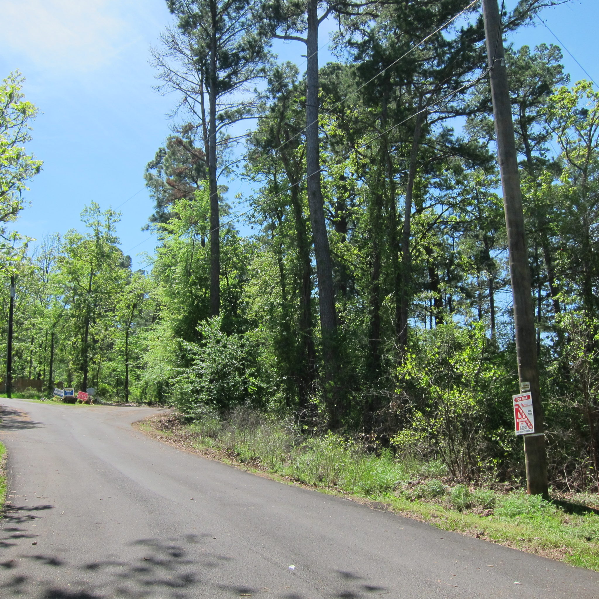 Lake Palestine Lake View Lots