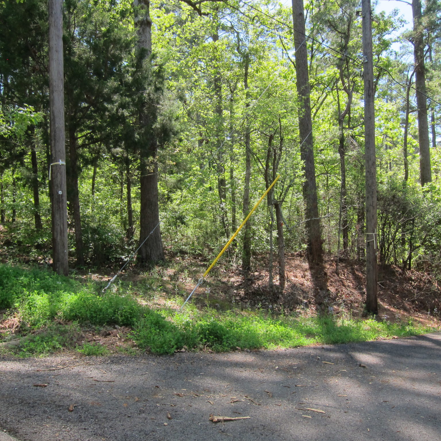 Lake Palestine Lake View Lots